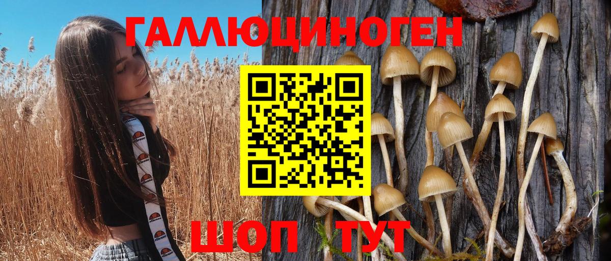 Саянск  Псилоцибиновые грибы MAGIC MUSHROOMS  где найти наркотики  Вход с VPN 