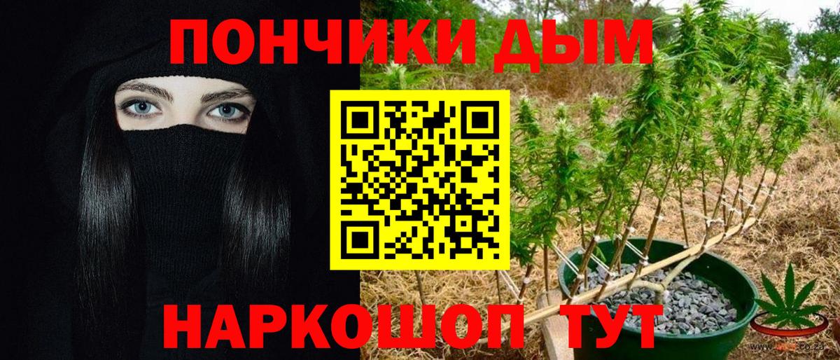 Бошки Шишки планчик  Вход с VPN  Каннабис тримм  Саянск 